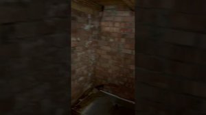 полное видео