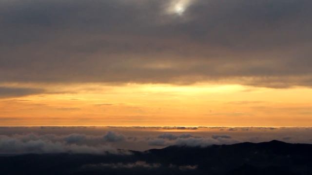 г.Краснова 19-20.10.19