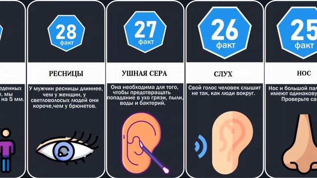 55 СТРАННЫХ ФАКТОВ о вашем теле смотреть онлайн