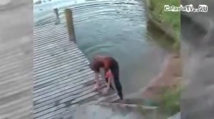 +100500 Эпизод №179 Целебный шлепок