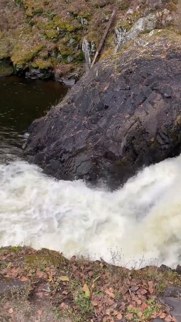 Водопад Кивач! Карелия! 13 ноября 2022год!!! смотреть онлайн