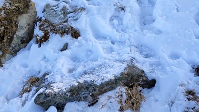 Карпати. Зимове сходження на гору Говерлу. 18.12.2020