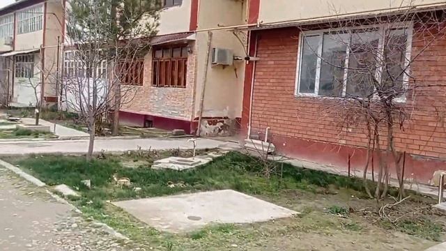 Аккурган улица Ахунбабаева стороны ДРСУ 01.03.24