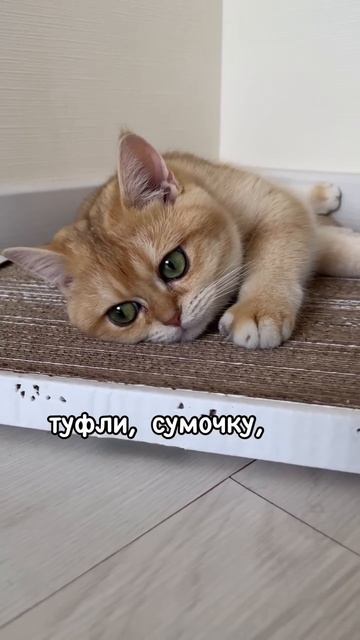 Ничего не хочу ! смотреть онлайн