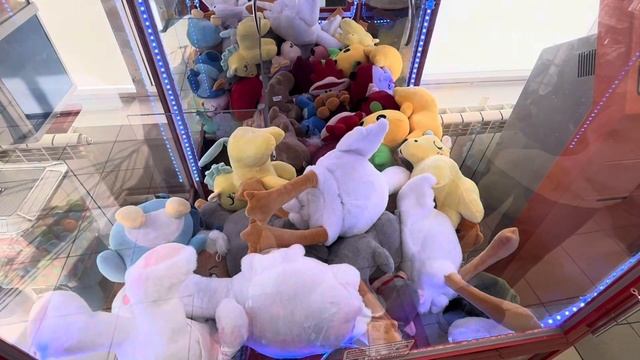 Обзор Г.Петрозаводск.