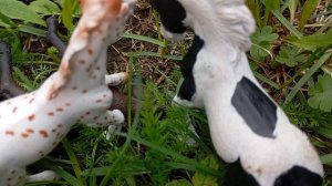 сериал колдунья 1 серия