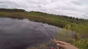 ГОЛАВЛЬ в ЛЕДЯНОЙ ВОДЕ! ПРОВОДКИ, МЕСТА, ТАКТИКА! Рыбалка на голавля в мае! Весенний голавль 2024!