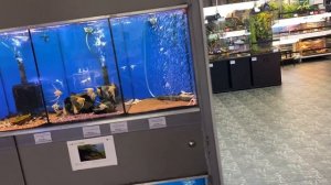 Устанавливаем навигацию(продолжение)