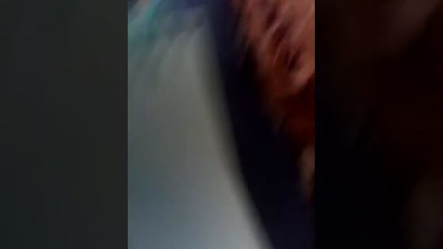 Мои рисунки(ч.т.описание.) смотреть онлайн