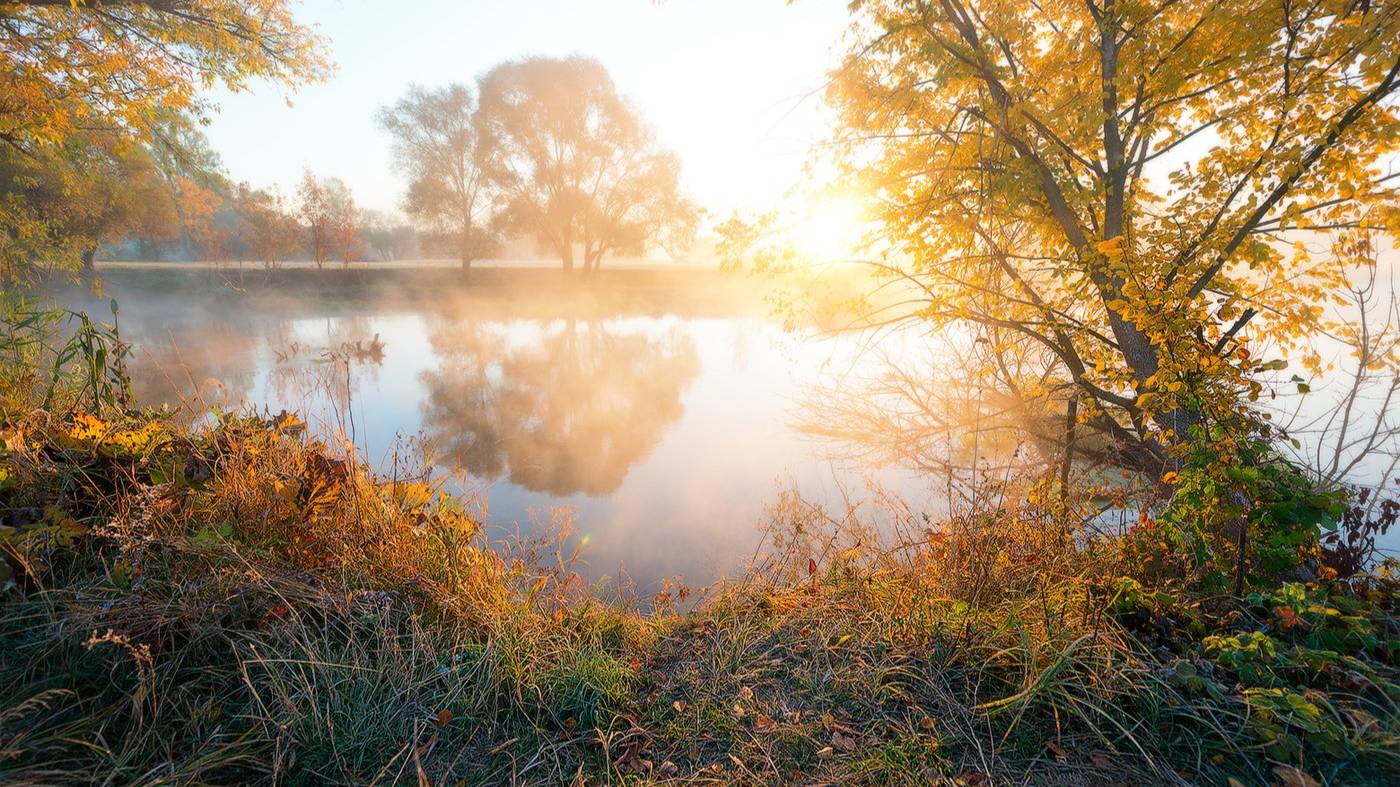 Летний романс. смотреть онлайн