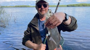 Ловля впроводку на Оке. Разнорыбица на поплавочную удочку.