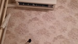 Сплит-система DEXP AC-CD12INV - НЕ ПОКУПАЙТЕ!