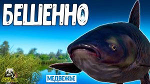 RF4 НЕОЖИДАЛ ЧТО ПОЛУЧИТСЯ ТАКОЙ БЕШЕННЫЙ КЛЁВ #рр4