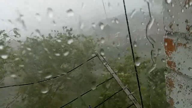 Сильная буря-ураган с дождем в подмосковье (орехово-зуево, ликино-дулево)