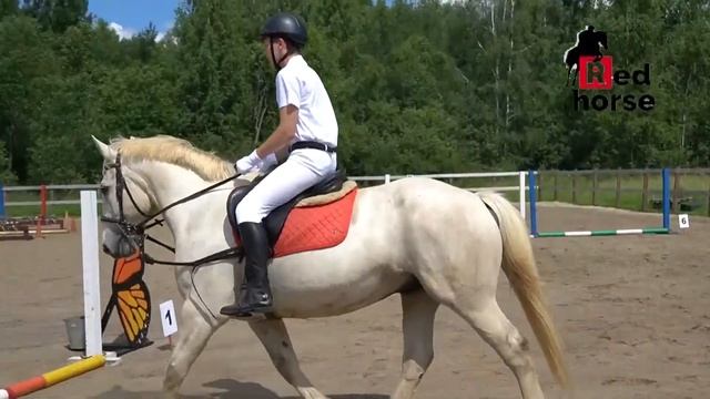 События недели 15 07 24