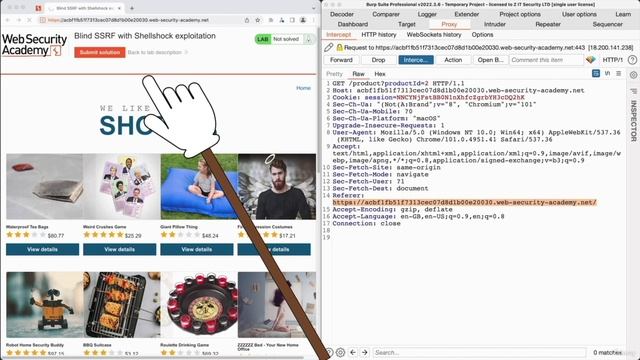 23. Discovering Blind SSRF Vulnerabilities смотреть онлайн