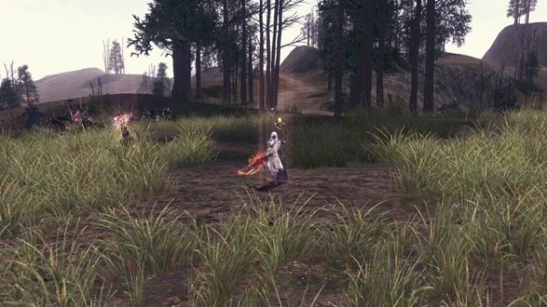 Lineage 2 ORC VILLAGE