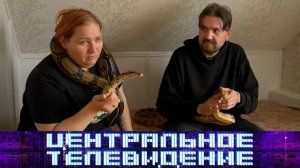 «Центральное телевидение». Выпуск от 17 мая 2025 года