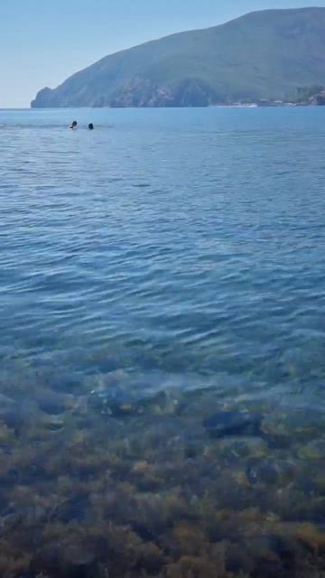 Шикарная погода в Утесе, вид на Аю-Даг. Дайвинг в Алуште - Дайв-центр Megadiving #дайвингвалуште