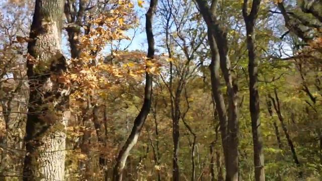 Безкислородное восхождение на кабанку