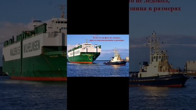 Как работает ледокол?! #интересно #физика #юмор смотреть онлайн
