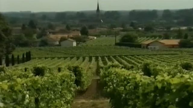 Фильм плесень  1 канал