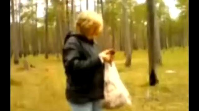 Катерина в Стране Чудес на Севере