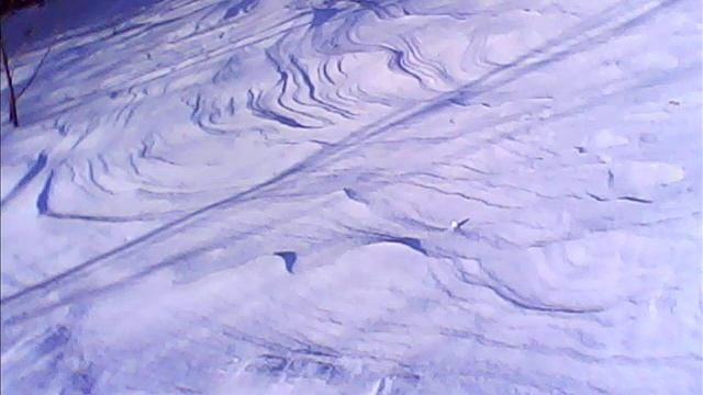 Фотовыставка кружка 