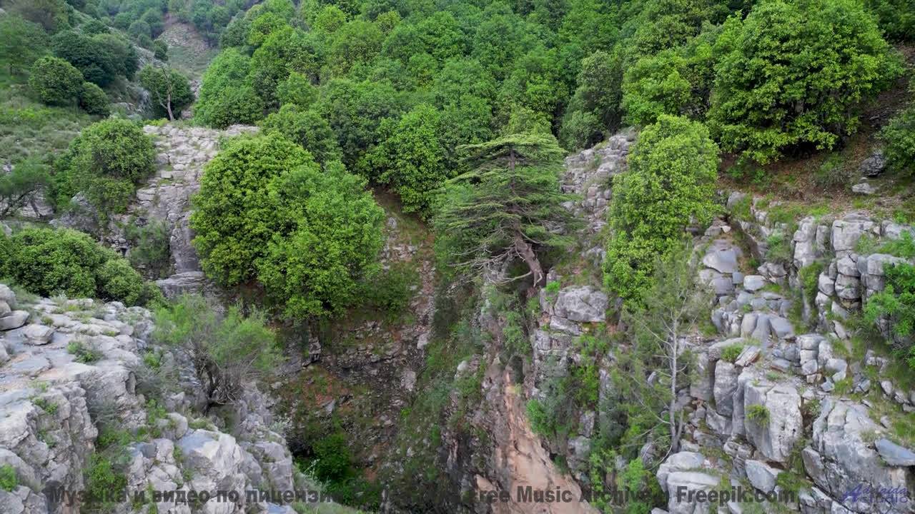 Что поёт этот водопад - Play For Your People (music Hall Singalong) -- Keshco -- Filmmakers Referenc