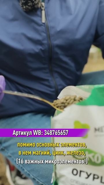 Никогда не выбрасываю такие пакеты! А сажаю в них огурцы и урожай получаю на 2 недели раньше! смотреть онлайн