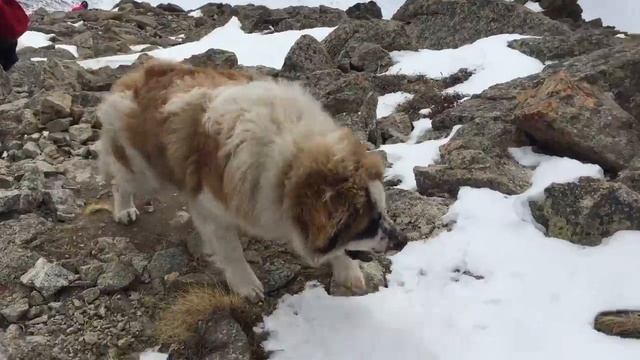 Большой Алматинский пик и Аю