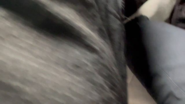 НЕУБИВАЕМЫЕ КАРГО ШТАНЫ - CARHARTT CARGO DUCK PANTS [распаковка на