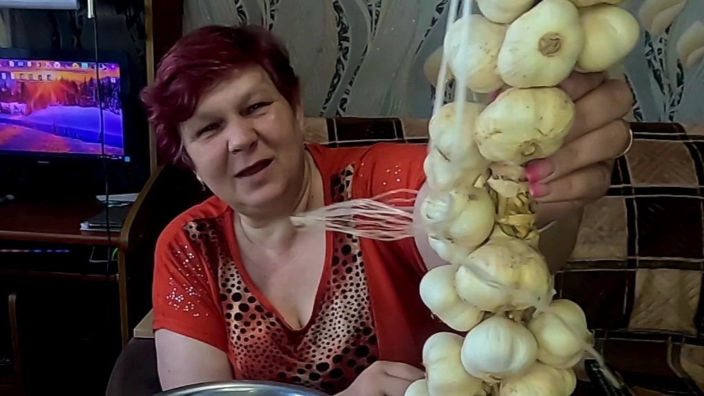 Готовлю яровой чеснок к посадке... Не когда разглагольствовать.. смотреть онлайн