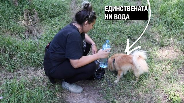 ВЛОГ #28 | ОТ ВИСОКО СЕ ПАДА НАЙ-ЛЕСНО | #МУСАЛА | #ДЯВОЛСКА ПЪТЕКА смотреть онлайн