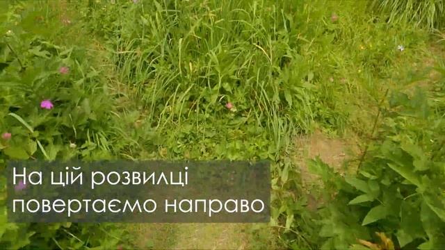 Парашка. Одноденний легкий маршут на найвищу гору Сколіських Бескидів. Карпати