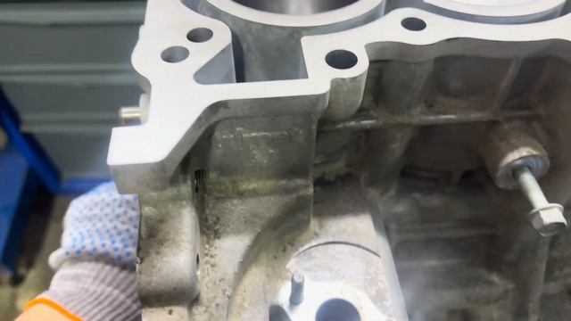 Киа Сид 1.6 сильное дизеление и большой расход масла.вы?