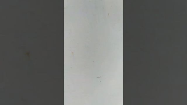 обзор на двор😄 смотреть онлайн