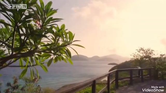 Тони Стораро топ топ