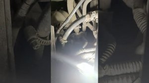 датчик температуры охлаждающей жидкости Geely emgrand ec7