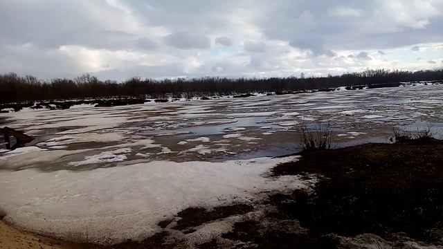Обстановка на 17.05.2025 г. г. Нарьян - мар смотреть онлайн