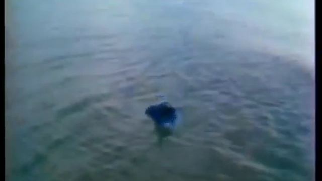 28 апреля 2018 г.