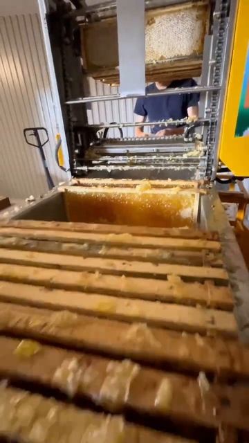 Откачка меда 2022🐝🍯