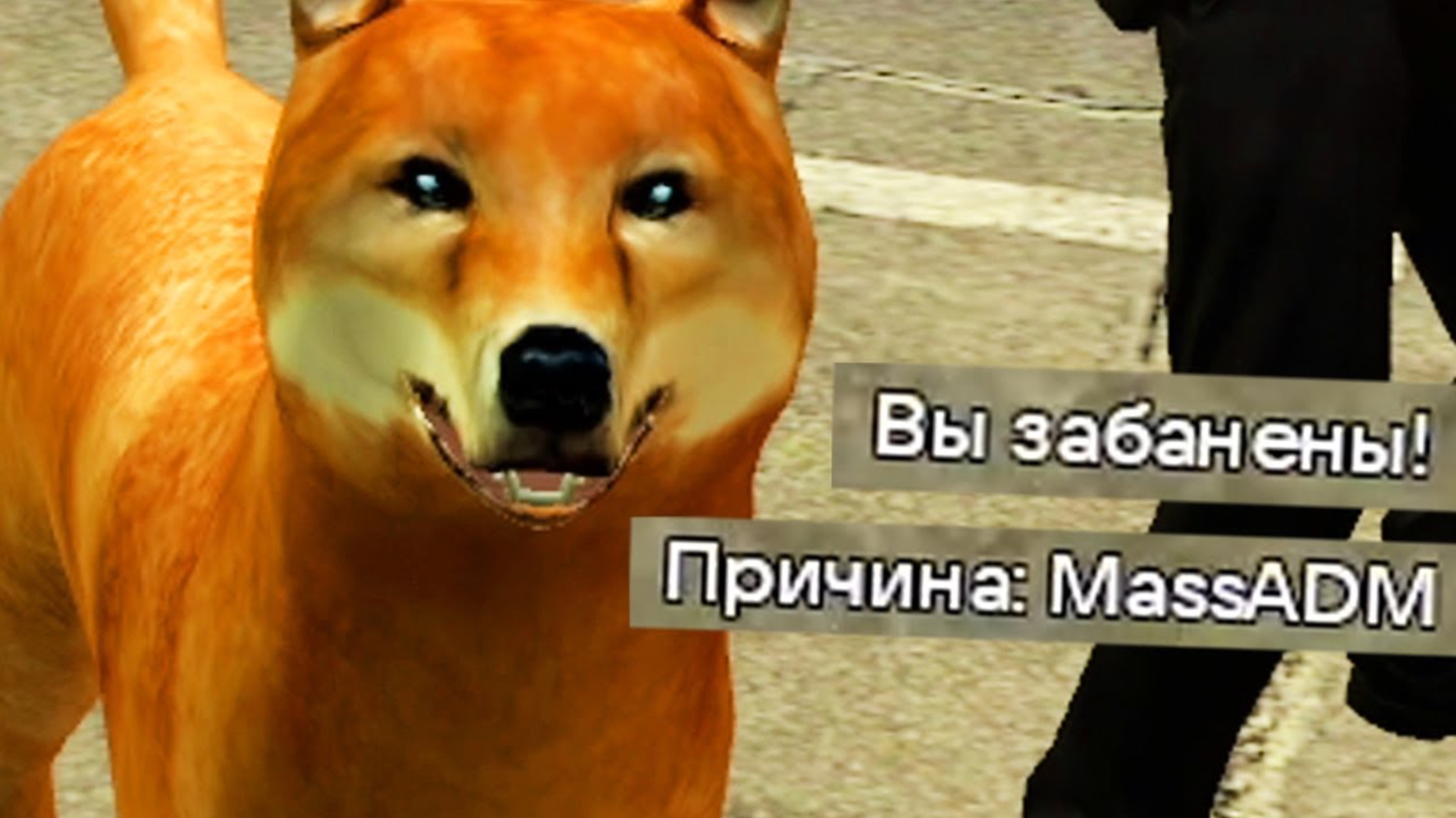 GMOD бан за слив админки... DARK RP