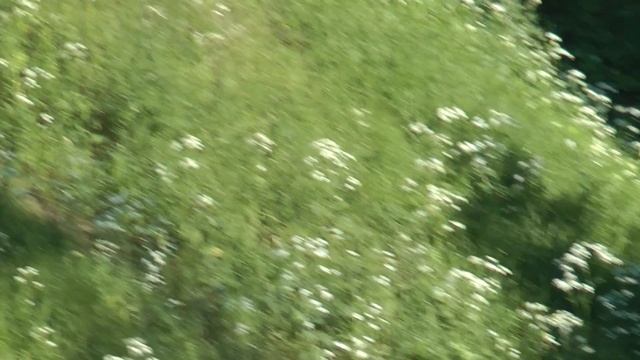 Для чего в Коломенском фонари в большой овраге? смотреть онлайн