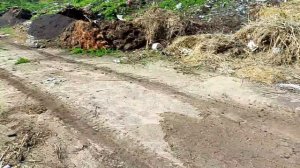 Что я нашёл на Сельской Свалке. 2 часть