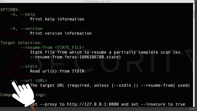 1. Discovering Endpoints & Sensitive Data смотреть онлайн