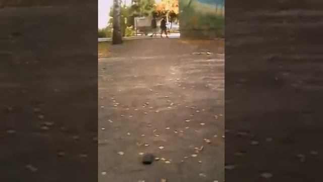 Я и мои друзья