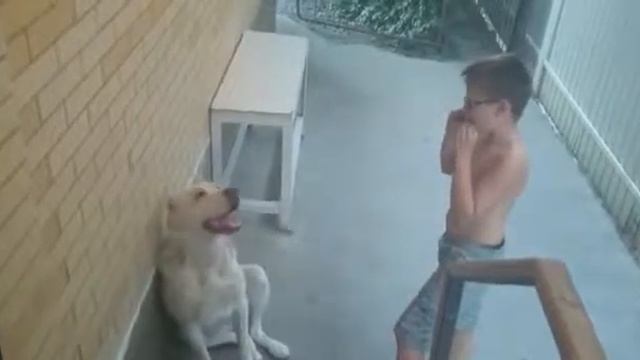 Талантище:))) Смешное видео, видео прикол:)