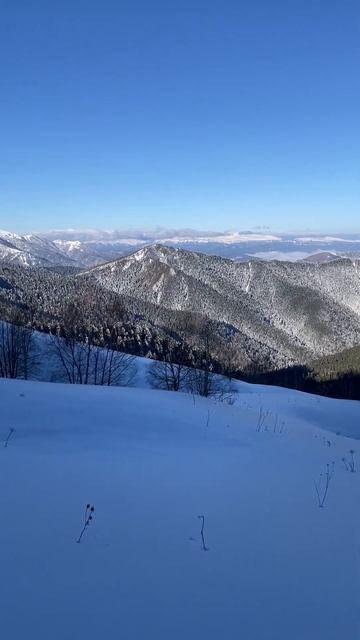 Панорама Фишт-Оштенского массива перед балаганом Ветренный смотреть онлайн