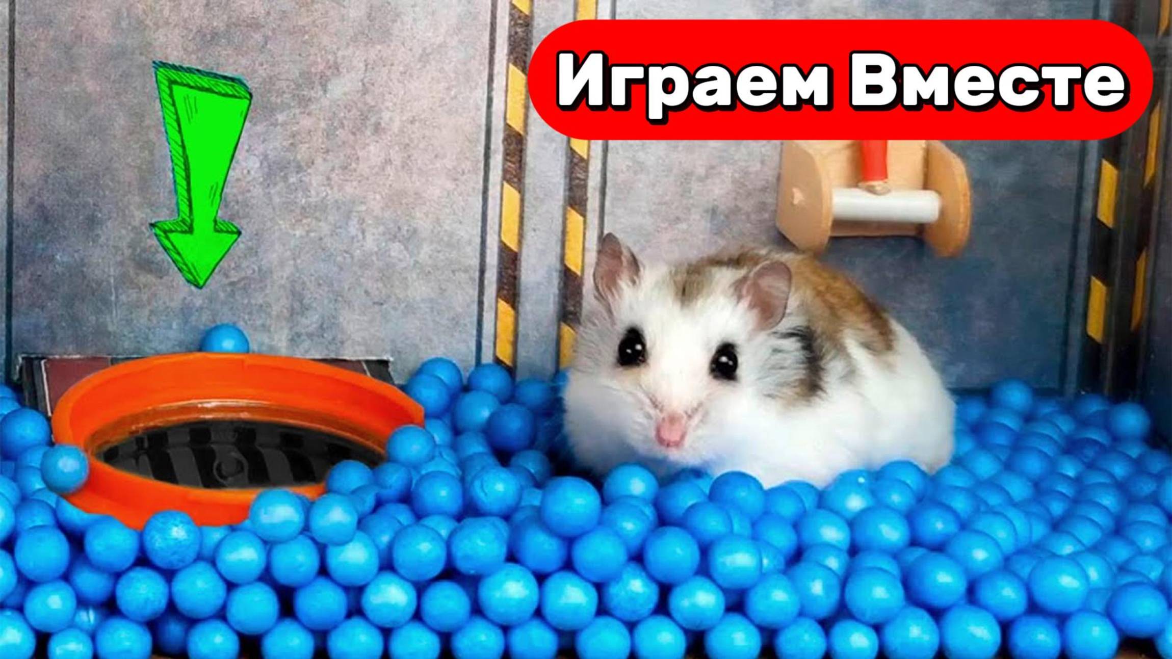 Побег Умного Хомяка из ХИТРОЙ ТЮРЬМЫ с ЛОВУШКАМИ 🐹 Видео для детей смотреть онлайн
